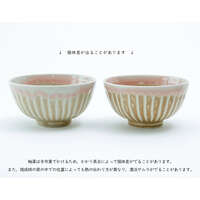 美濃燒 結しのぎ 對碗禮盒 2入 磁器飯碗 直徑11.5cm｜ペア茶碗セット  結しのぎ
