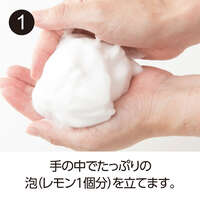 絲膠蛋白保濕洗面乳 無香料 過敏測試 100g｜モイストフォーム