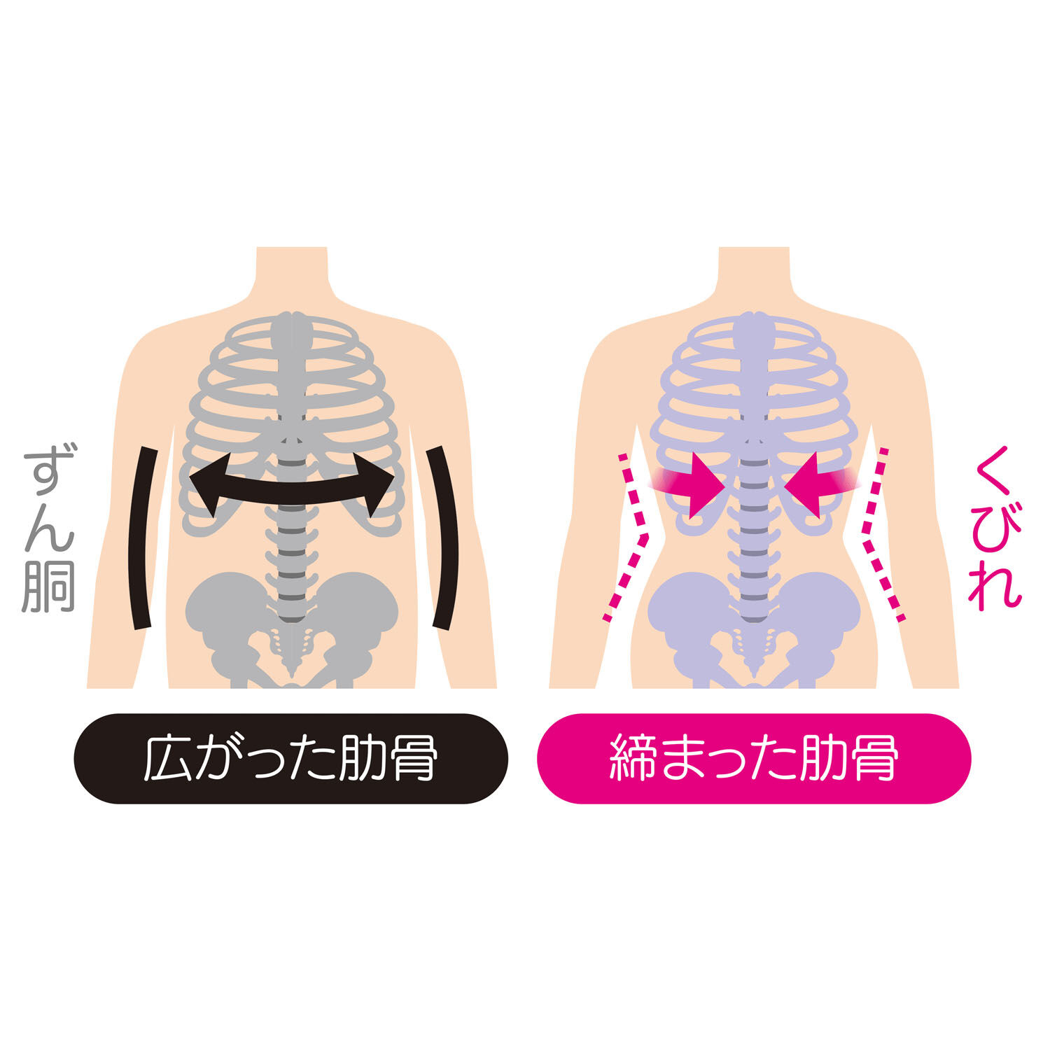 K-BEAUTY 兩段式調節肋骨圍束帶 M-L／L-LL｜K－BEAUTYボディシェイプベルト