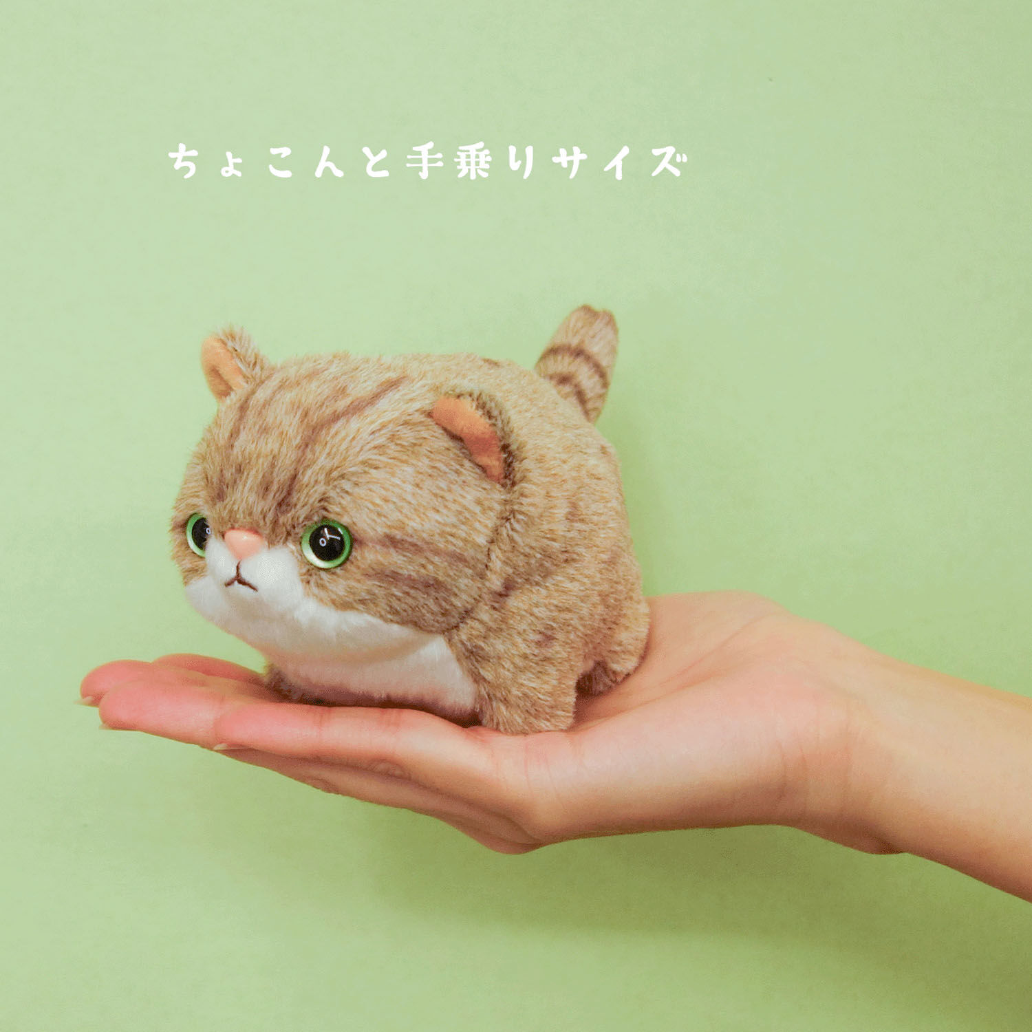 胖嘟嘟 對馬山貓咪｜日本角色・療癒小物・日本直送