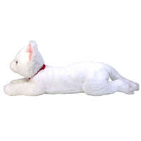 膝上貓 白異色瞳貓咪造型公仔・貓控收藏小物｜ひざねこ 白オッドアイ
