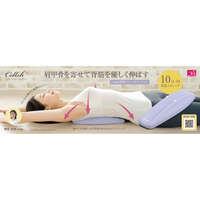 CELLSH 背部伸展枕 拱形長條 12×35.5cm｜CELLSH 背筋ストレッチクッション