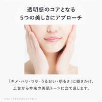 AMPLEUR 導入型美容液 洗臉後第一步 發酵成分 40ml｜アンプルール ルミナスHQブースター