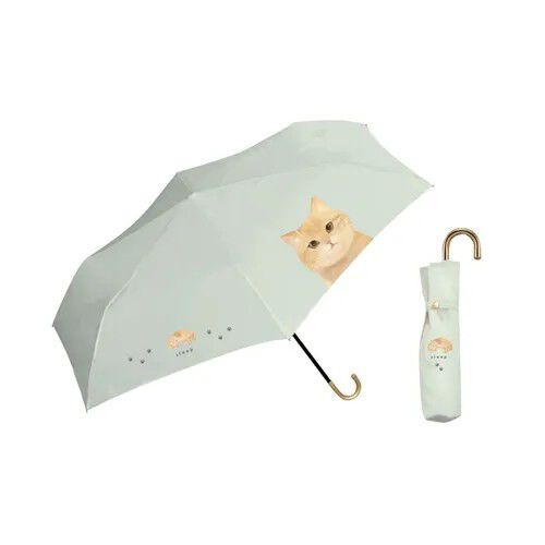 晴雨兼用 折疊傘 Mash｜晴雨兼用折りたたみ傘 マッシュ