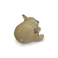 WooBia 熟睡小狗擺飾 17.5×12.5×8.5cm 六款｜すやすやシリーズ 犬
