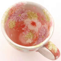 瀨戶燒手繪花卉馬克杯 同色系雅緻花卉 一珍技法 日本製｜紅彩花雅 マグ