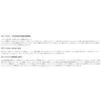 日本製咖哩專用湯匙 咖哩賢人 18-8不鏽鋼 右手／左手／黃金比例三款｜カレー賢人