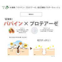 KITAO MATCHA 有機抹茶酵素洗顏粉 單次包裝 1.2g×30包｜KITAO MATCHA エンザイムパウダー