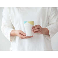 美濃燒 雙色釉自由杯 杯口分色 啤酒杯 275ml 三色 日本製｜ふたいろ フリーカップ
