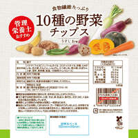 十種蔬果脆片 淡鹽風味 大包90g｜10種の野菜チップス うすしお味