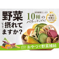 十種蔬果脆片 淡鹽風味 大包90g｜10種の野菜チップス うすしお味