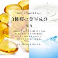 RUAN SMH 髮粉底 3g｜日系美髮・日本直送
