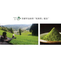 KITAO MATCHA 有機抹茶酵素洗顏粉 單次包裝 1.2g×30包｜KITAO MATCHA エンザイムパウダー