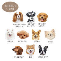 狗狗格紋保冷托特包袋 33×45cm 可捲收 可上肩｜ドッグチェック柄保冷コンパクトトートバッグ