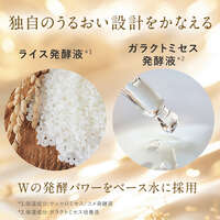 AMPLEUR 米發酵液保濕化妝水 緊緻感滋潤型 120ml｜アンプルール リフティングローション