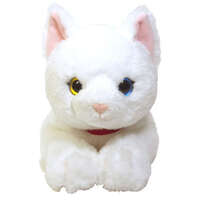膝上貓 白異色瞳貓咪造型公仔・貓控收藏小物｜ひざねこ 白オッドアイ