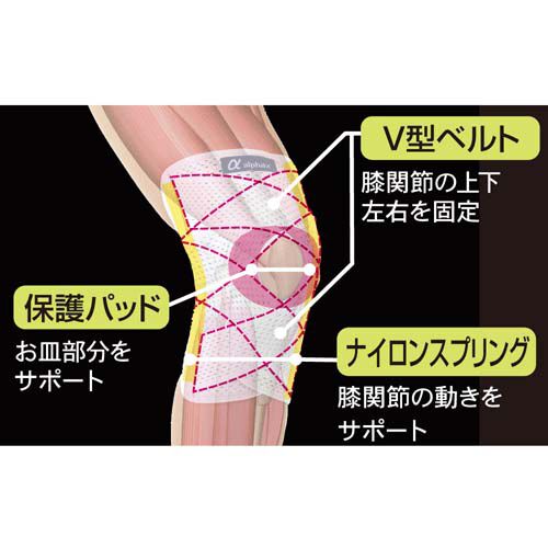 加強型護膝綁帶 V型交叉綁帶 四支支撐條 膝上圍33-46cm｜お医者さんのがっちり膝ベルト