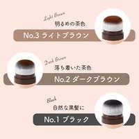 RUAN SMH 髮粉底 3g｜日系美髮・日本直送